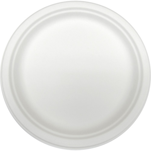 Molded Fiber Disposable Plates Distribution Jean Lapalme