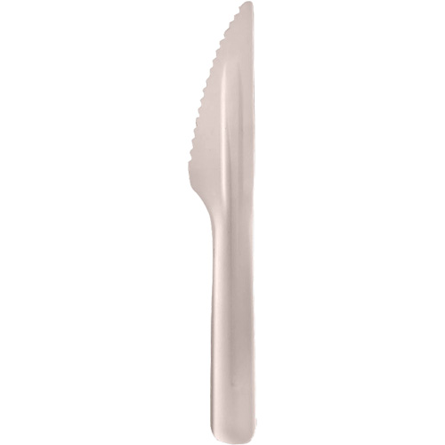 Bagasse Compostable Knives Distribution Jean Lapalme