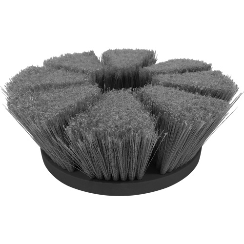 Flagged Tipped Cleaning Brush Distribution Jean Lapalme