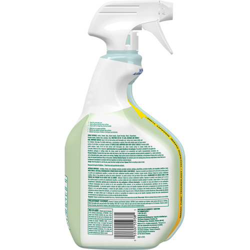 Nettoyant d&eacute;sinfectant CloroxPro Clorox EcoClean, 946 ml, Bouteille &agrave; g&acirc;chette Distribution Jean Lapalme