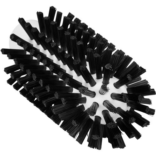 Brosse de nettoyage, Soies Ferme, Longueur de 5-7/10", Noir Distribution Jean Lapalme