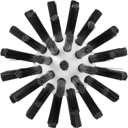 Brosse de nettoyage, Soies Ferme, Longueur de 5-7/10", Noir Distribution Jean Lapalme