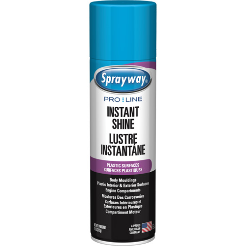 Brillant instantan&eacute; Pro Line pour surfaces en plastique, 11 oz, Canette a&eacute;rosol Distribution Jean Lapalme