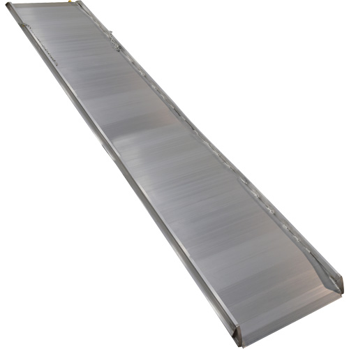 Rampe de promenade en aluminium, Capacit&eacute; de 1000 lb, 38" la x 193-1/8" lo Distribution Jean Lapalme