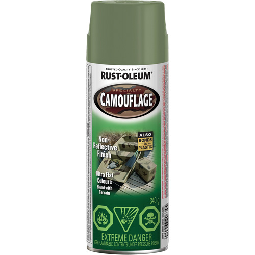 Peinture de camouflage Sp&eacute;cialit&eacute;, Canette a&eacute;rosol, Brun terre Distribution Jean Lapalme