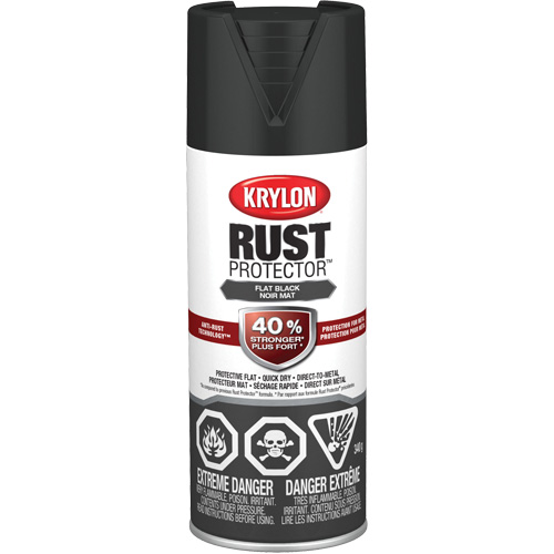 Peinture &agrave; &eacute;mail Rust Protector, Noir, Tr&egrave;s mat, 12 oz, Canette a&eacute;rosol Distribution Jean Lapalme