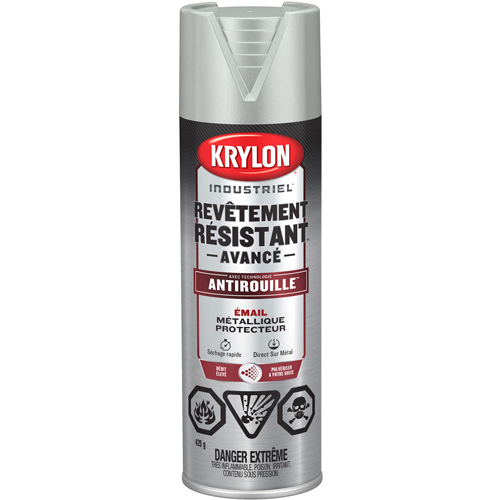 Tough Coat&reg; Advanced Paint with Rust Barrier Technology, Aluminum, Metallic, 425 g, Aerosol Can Distribution Jean Lapalme
