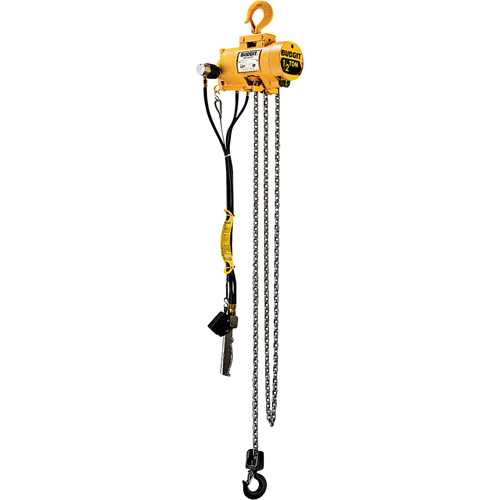 Budgit&reg; Air Chain Hoists Distribution Jean Lapalme
