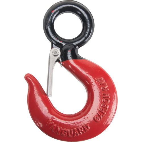 Black Eye&reg; Wire Rope Hoist Hook Distribution Jean Lapalme