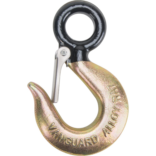Black Eye&reg; Wire Rope Hoist Hook Distribution Jean Lapalme