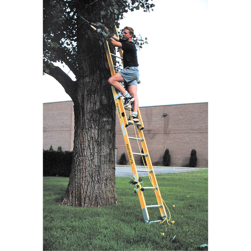Industrial Heavy-Duty Extension Ladders (6200 Series), 375 lbs. Cap., 13' H, Grade 1AA Distribution Jean Lapalme