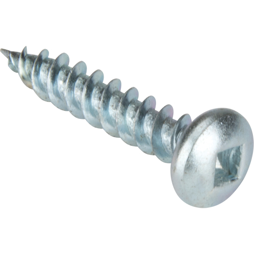 Vis taraudeuse &agrave; t&ecirc;te cylindrique, #10 x 1-1/4" lo, Zingu&eacute; Distribution Jean Lapalme