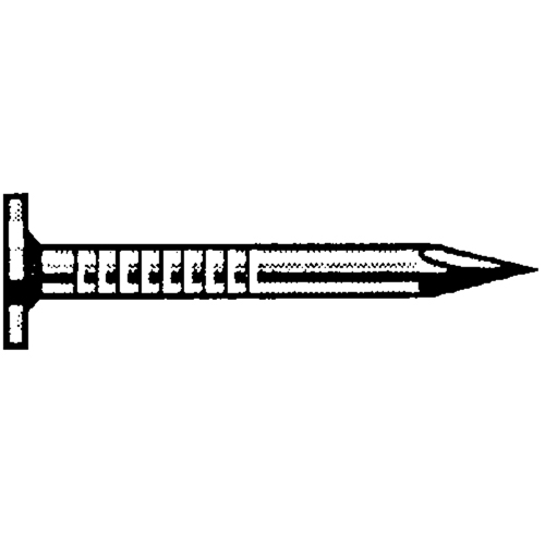 Roofing Bright, 7/16" Head Nails Distribution Jean Lapalme