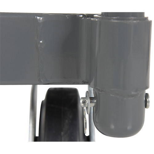 Platform Truck, 48" L x 24" W, 2000 lbs. Capacity, Rubber Casters Distribution Jean Lapalme