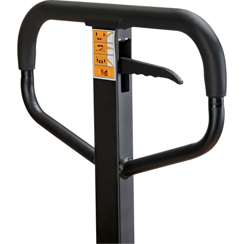 Manual Pallet Truck, Steel, 48" L x 21" W, 5500 lbs. Capacity Distribution Jean Lapalme