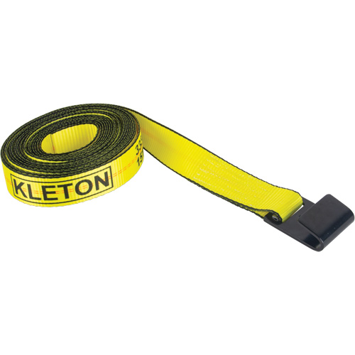 Tendeur d'arrimage logistique, Crochet plat, 2" , 30' , Charge d'utilisation max. 3335 lb (1512 kg) Distribution Jean Lapalme