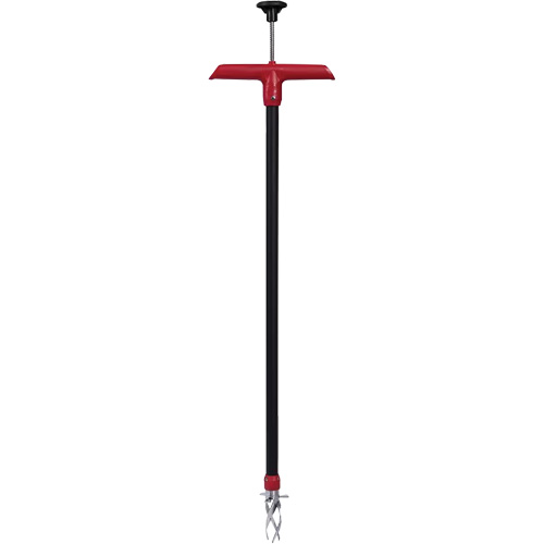Twisted Head Weeder Distribution Jean Lapalme