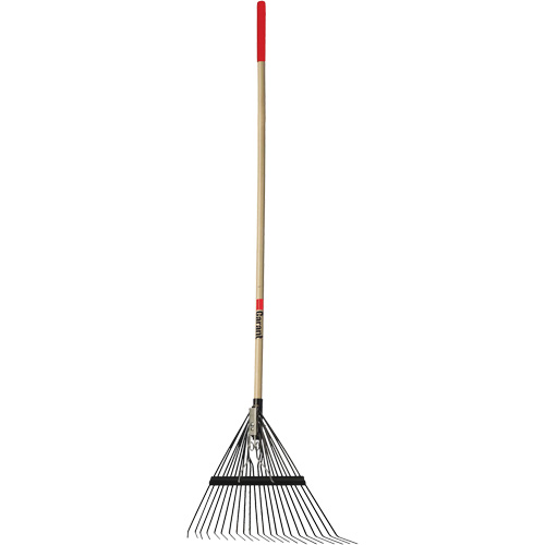 Lawn Rake, 24 Tines, Hardwood Handle, Steel Blade Distribution Jean Lapalme