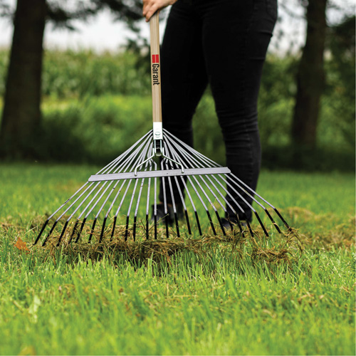 Lawn Rake, 24 Tines, Hardwood Handle, Steel Blade Distribution Jean Lapalme