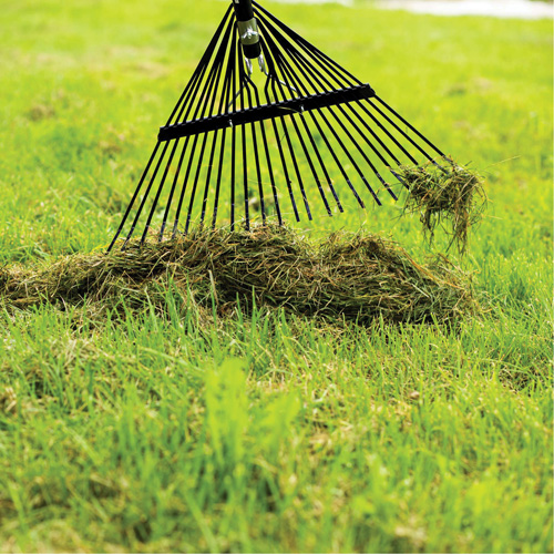 Lawn Rake, 24 Tines, Hardwood Handle, Steel Blade Distribution Jean Lapalme