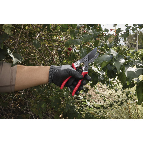 1” Angled Pruning Shears Distribution Jean Lapalme