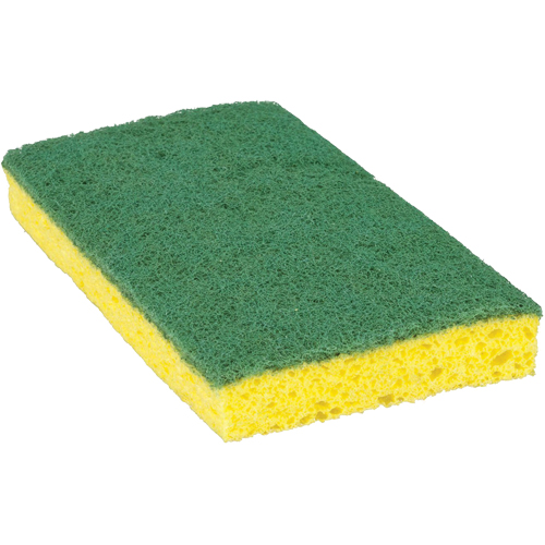 &eacute;ponge &agrave; r&eacute;curer pour travaux moyens Scotch-Brite, &agrave; r&eacute;curer, 3-3/5" la x 6-1/10" l Distribution Jean Lapalme