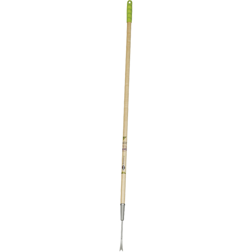 Arrache pissenlits Distribution Jean Lapalme