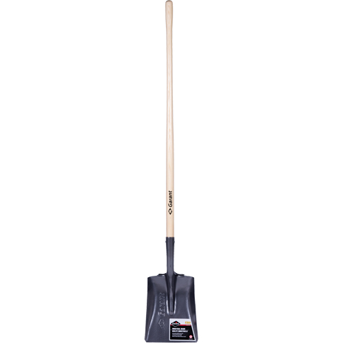 Pro Square Point Shovel, Wood, Tempered Steel Blade, Straight Handle, 48" Long Distribution Jean Lapalme
