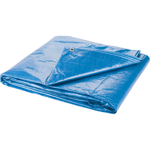 B&acirc;che, Standard, Bleu, 7' x 5' x 4 mils Distribution Jean Lapalme
