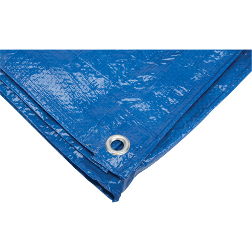 B&acirc;che, Standard, Bleu, 7' x 5' x 4 mils Distribution Jean Lapalme