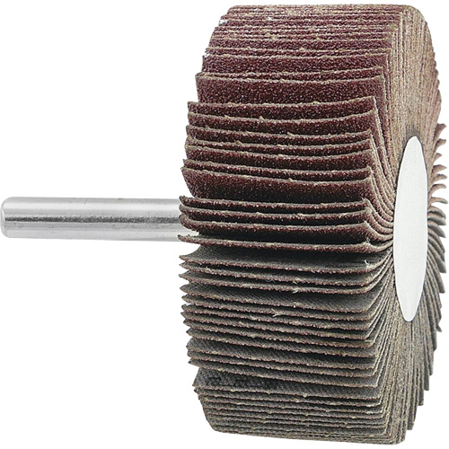 Mounted Flapwheel, 120 Grit, 2-1/2" x 1" x 1/4" Distribution Jean Lapalme