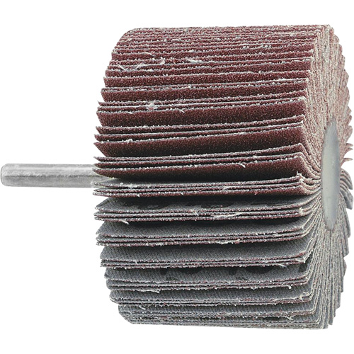 Disque &agrave; lamelles mont&eacute;, Grain 60, 3" x 1" x 1/4" Distribution Jean Lapalme