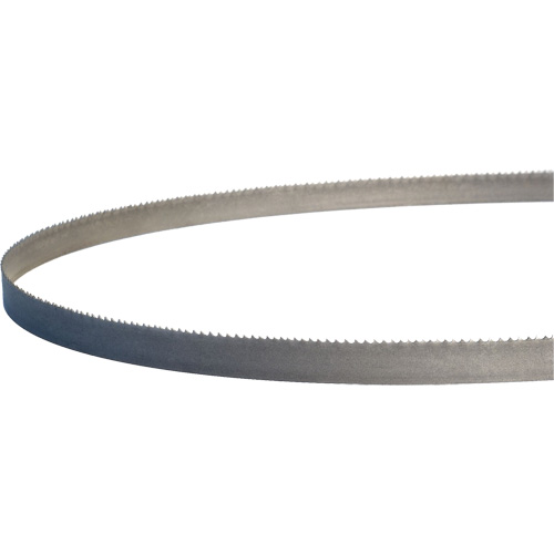 Lames de scie &agrave; ruban portatives Master-Band, Bim&eacute;tal, 18 Dents par pouce, 44-7/8" lo x 1/2" la Distribution Jean Lapalme