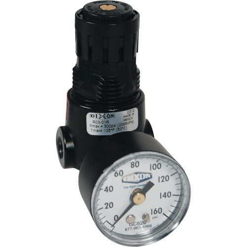 Wilkerson Miniature Regulator R04, 1/4" NPT, 300 psi Max. PSI, Standard Distribution Jean Lapalme