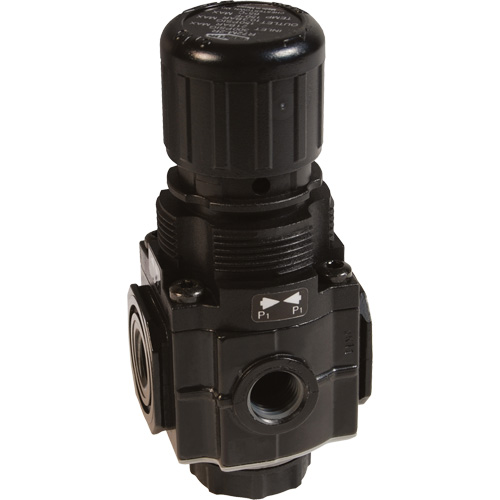 Series 1 Manifold Regulator, 1/4" NPT, 150 PSI Max. PSI, Standard Distribution Jean Lapalme