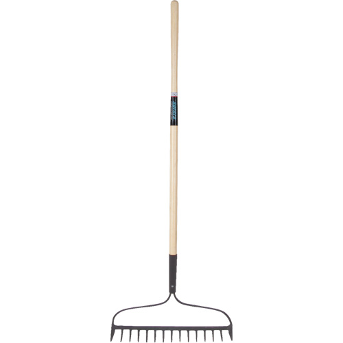Heavy-Duty Bow Rake, Wood Handle, 58" L, 15" Blade, 15 Tines Distribution Jean Lapalme
