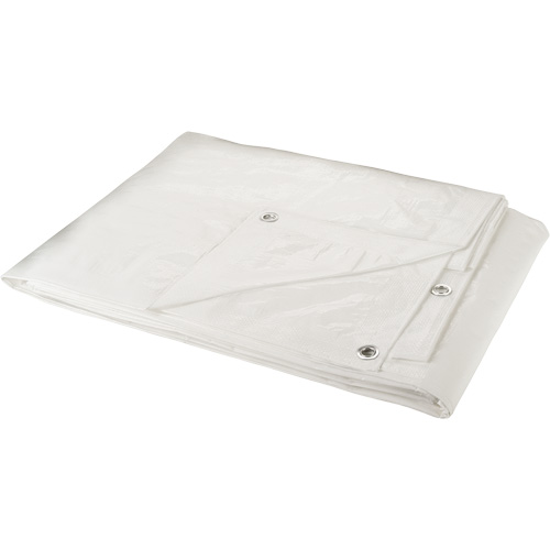 Tarp, Heavy-Duty, White, 8' x 6' x 6 mils Distribution Jean Lapalme