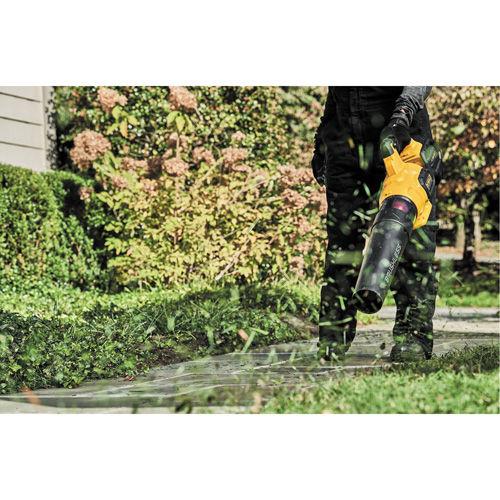 Max* FlexVolt&reg; Brushless Cordless Handheld Axial Blower, 60 V, 125 MPH Output, Battery Powered Distribution Jean Lapalme