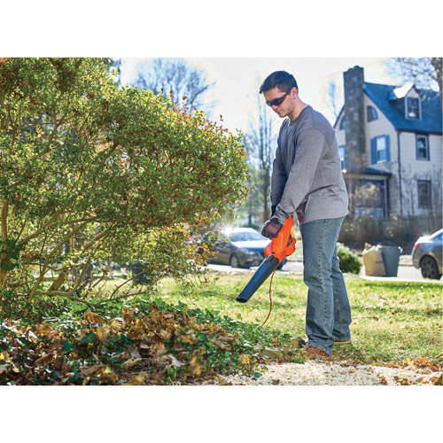 Leaf Blower, 180 MPH Output, Electric Distribution Jean Lapalme