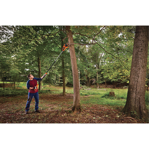 2-in-1 Pole Chainsaw Distribution Jean Lapalme
