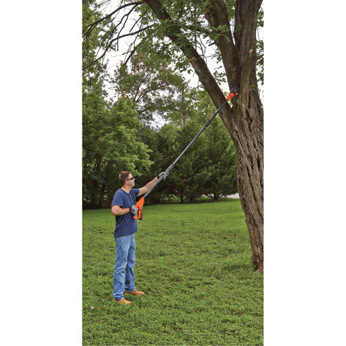 Max* Cordless Pole Pruning Saw Kit Distribution Jean Lapalme