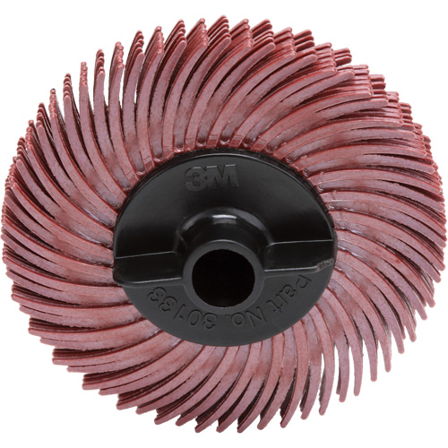 Scotch-Brite Radial Bristle Disc, RB-ZB, Ceramic, 220 Grit, 2" Dia. Distribution Jean Lapalme