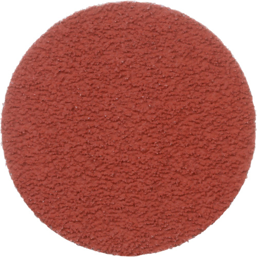 Disque &agrave; d&eacute;ligner durable II Roloc Cubitron, 2" dia., Grain 60+, C&eacute;ramique Distribution Jean Lapalme