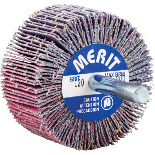 Shank Mounted Mini Flap Wheel, Ceramic Alumina, 120 Grit, 2" x 1" x 1/4" Distribution Jean Lapalme