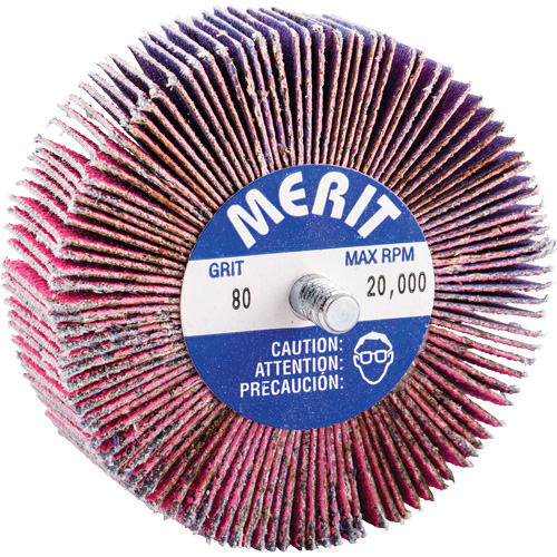 Threaded Mini Flap Wheel, Ceramic Alumina, 80 Grit, 3" x 1" x 1/4"-20 Distribution Jean Lapalme