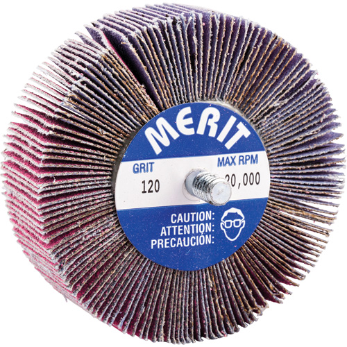 Mini-meule &agrave; lamelles filet&eacute;es, C&eacute;ramique d'alumine, Grain 120, 3" x 1" x 1/4"-20 Distribution Jean Lapalme