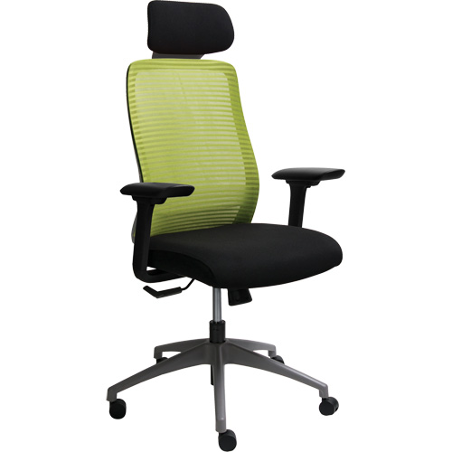 Era Series Adjustable Office Chair with Headrest, Fabric/Mesh, Green, 275 lbs. Capacity Distribution Jean Lapalme