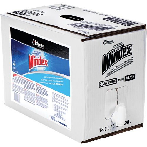 Nettoyant pour vitres Windex avec Ammoniac-D, 5 gal., Sac Distribution Jean Lapalme