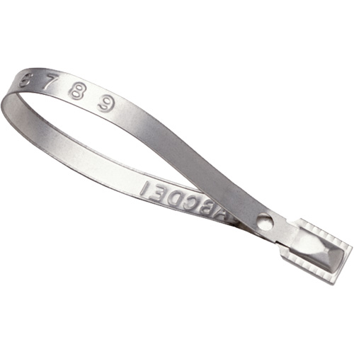Scell&eacute;s Guard Lock, 8-3/8", M&eacute;tal, Scell&eacute; pour camion Distribution Jean Lapalme