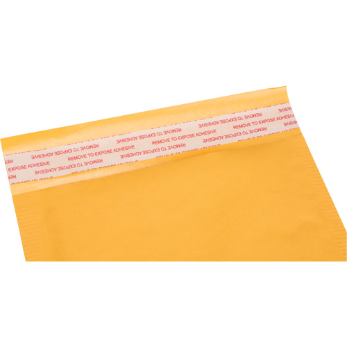 Bubble Shipping Mailer, Kraft, 6" W x 10" L Distribution Jean Lapalme